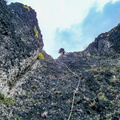 SCDSC02951.jpg
