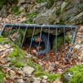 SCDSC07986.jpg