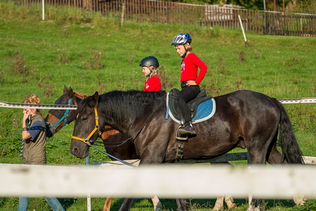 2014-09 Koně Ryjice