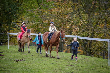 2015-10 Koně Ryjice