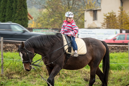 2015-10 Koně Svádov