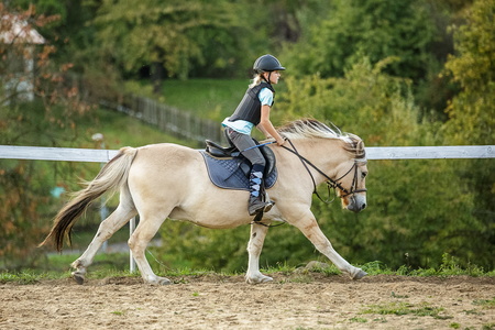 2016-09 Koně Ryjice