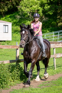 2019-06 Koně Ryjice