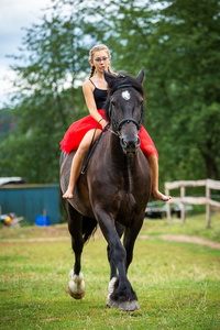 2019-08 Koně Ryjice