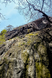 SCIMG 20210509 133614 428