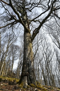 SCIMG 20220417 105605