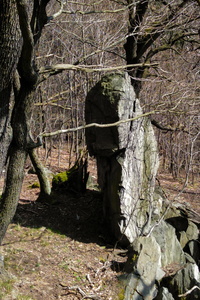 SCIMG 20220417 150544